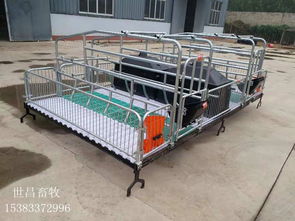 優質雙體母豬產床 提升養豬場管理效率的通用解決方案