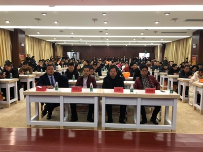 粵港攜手，共創(chuàng)未來 散墻辦成功舉辦模科新材料技術(shù)推介會(huì)